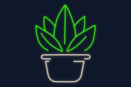 Cartel neón Planta suculenta en maceta
